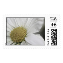 daisy postage