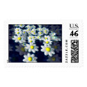 Daisy postage postage