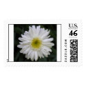 Daisy postage by cliffordphotos Daisy postage