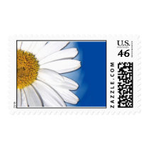daisy postage