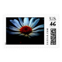 daisy postage by peterspooner daisy postage