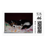 Daisy Postage Stamp