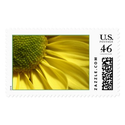 Daisy Postage Stamp