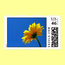 Daisy Postage Stamp stamps