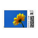 Daisy Postage Stamp by WanderLinArts Daisy Postage Stamp