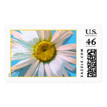 Daisy    , Postage Stamp
