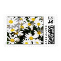 Daisy Postage Stamps