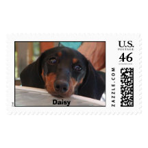 Daisy  postage stamps