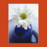 flower, daisy, white, vintage, vase, cobalt,
