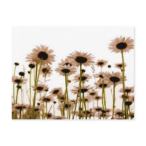 Daisy postcards by patricia_lane80 Daisy postcards