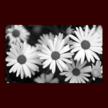 Daisy posters