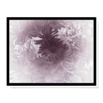 Daisy posters