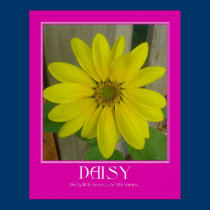 Daisy Poster posters by rgtmum Daisy Poster posters
