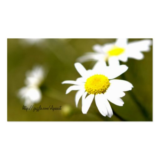 Daisy Profile Card Business Cards (back side)