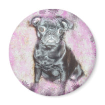 daisy pug magnets