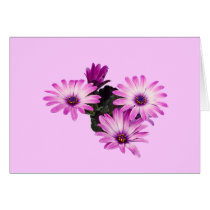 Daisy Purple cards
