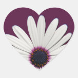 Daisy Purple Heart Stickers