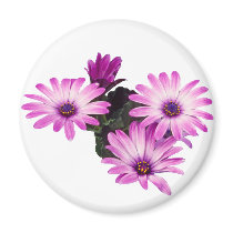 Daisy Purple magnets