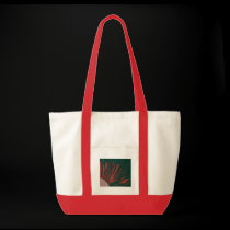 Daisy Red Bag bags