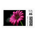 "Daisy Reflection" postage by kokobaby "Daisy Reflection" postage