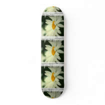 Daisy Skateboard