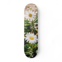 DAISY SKATEBOARDS