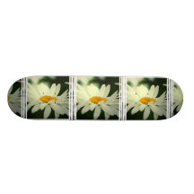 Daisy Skateboard