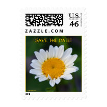 Daisy (Small) Postage
