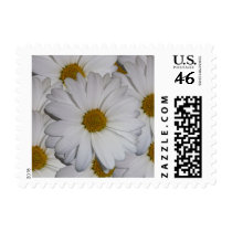 Daisy small stamp