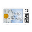 daisy-spring stamp