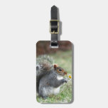 Daisy Squirrel luggage tags