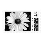 Daisy Stamp stamps