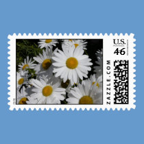 Daisy Stamp