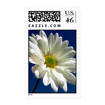 Daisy Stamp