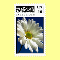 Daisy Stamp