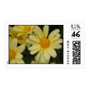 Daisy Stamp