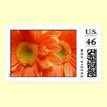 Daisy Stamp