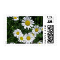 daisy stamps by carolegan daisy stamps