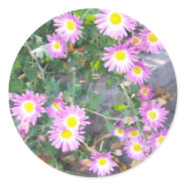 Daisy Sticker