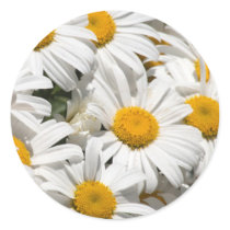 Daisy Aufkleber sticker