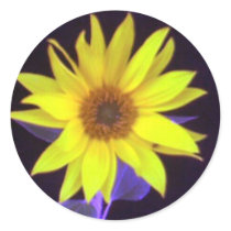 Daisy Sticker