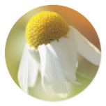 Daisy Sticker