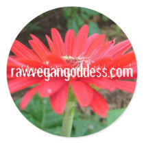 Daisy Sticker by rawvegangoddess Daisy Sticker
