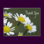 Daisy Thank You Note