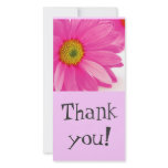 DAISY, Thank you! Picture Card