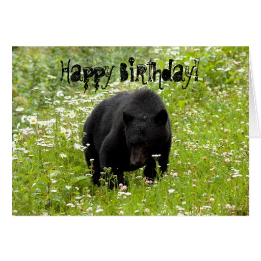 Daisy The Black Bear; Happy Birthday Greeting Card | Zazzle