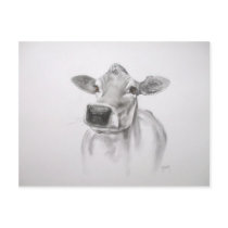 Daisy The Cow Post Card