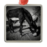 Daisy the Donkey Christmas Tree Ornaments