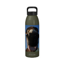 Daisy the Donkey Tongue smiles Water Bottles