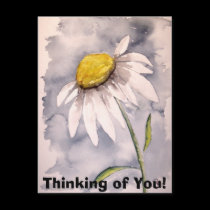 daisy, Thinking of You! postcards
